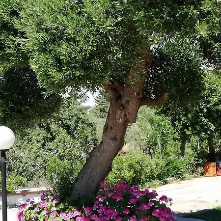 לינה וארוחת בוקר Pietrafitta 4*