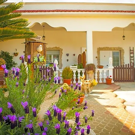 Bed & Breakfast Pietrafitta Carovigno