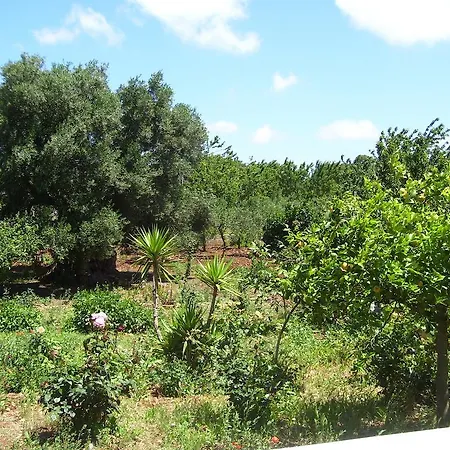 לינה וארוחת בוקר Pietrafitta 4*