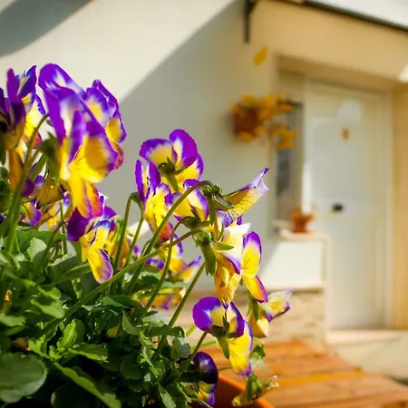 Pietrafitta Carovigno